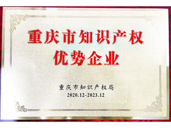 重庆市知识产权优势企业